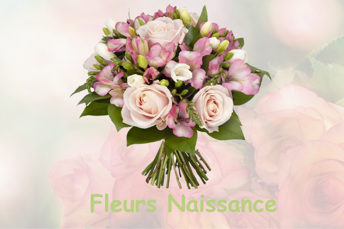 fleurs naissance PRIMARETTE